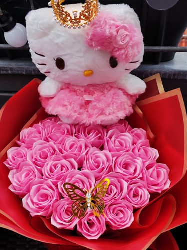 Peluche hello kitty - hello,